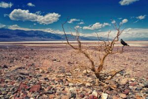 Salzwüste im Death Valley Nationalpark