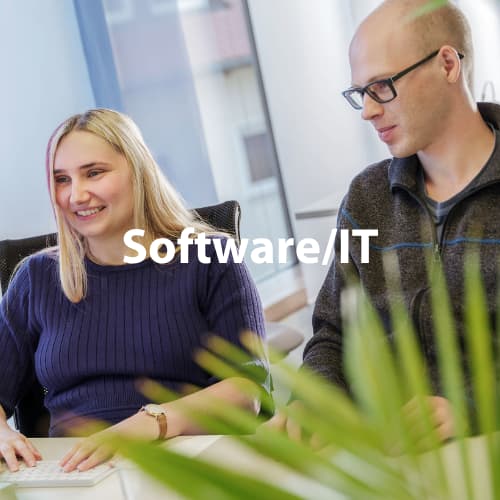 Software/IT Jobs