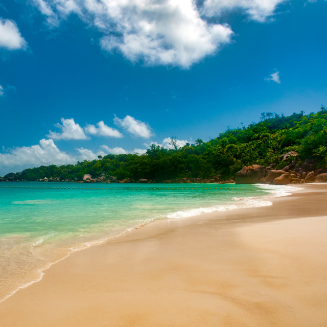 Blick entlang goldenem Sandstrand Anse Lazio mit Palmen im Hintergrund