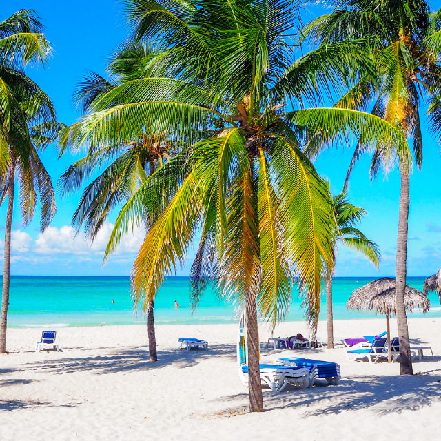 Kuba weißer Sandstrand mit Palmen und einigen Liegen