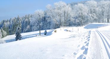 Bild von Bayerischer Wald Urlaub in den Winterferien Bild von Bayerischer Wald Urlaub in den Winterferien