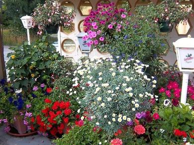 Gartenanlage