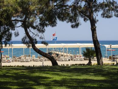 Strand