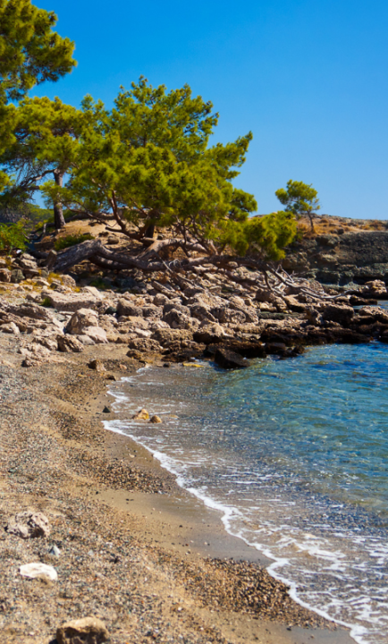 Bucht Phaselis Beach