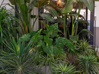 Gartenanlage