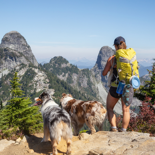 Mann mit Wanderrucksack und zwei große Hunde stehen an einem Aussichtspunkt mit Blick in die Berge