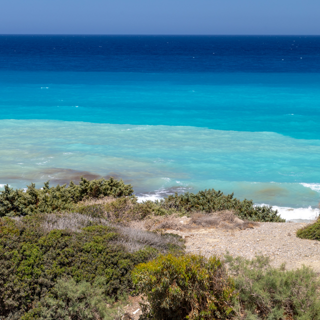Blick auf hellen Strand mit Dünen und Büschen