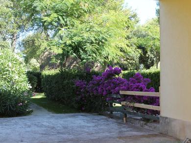 Gartenanlage