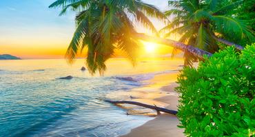 Bild von Seychellen Urlaub im Juni Bild von Seychellen Urlaub im Juni