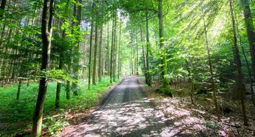 Bild von Bayerischer Wald Urlaub in den Osterferien