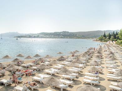 Strand