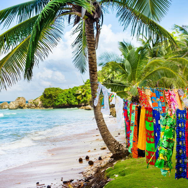 Strand auf Barbados mit bunten Tüchern auf einer Leine an einer Palme