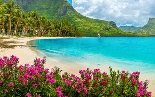 Bild von Indischer Ozean Urlaub im Frühling