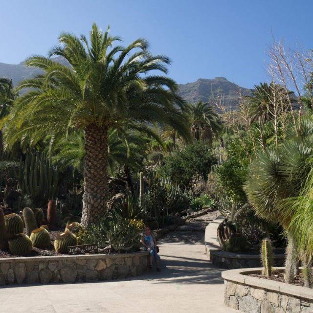Wege zwischen Palmen und Kakteen in der Parkanlage Cactualdea