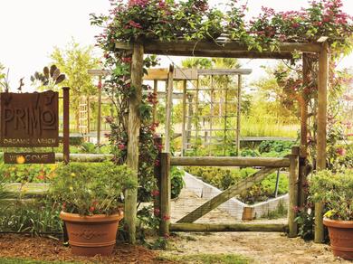 Gartenanlage