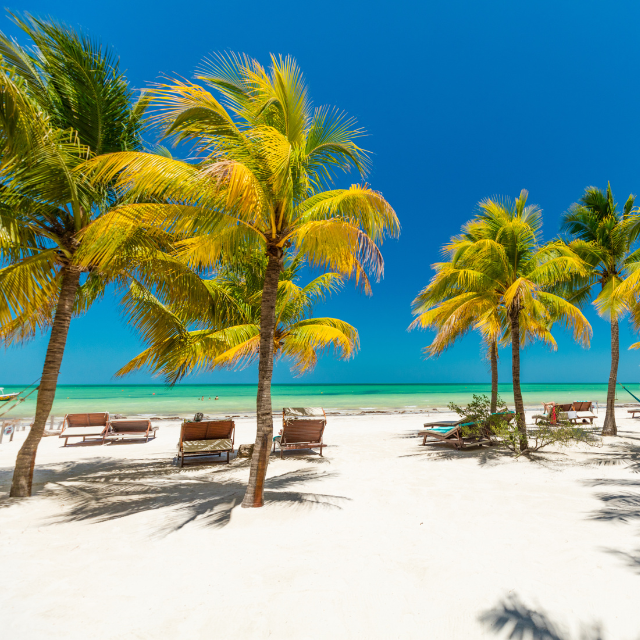 Blick vom hellen Strand aufs Wasser mit einigen Palmen und Sonnenliegen auf dem Sand