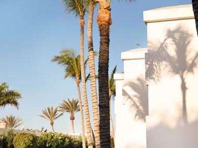 Gartenanlage
