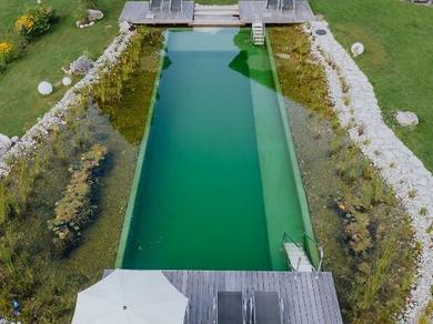 Gartenanlage
