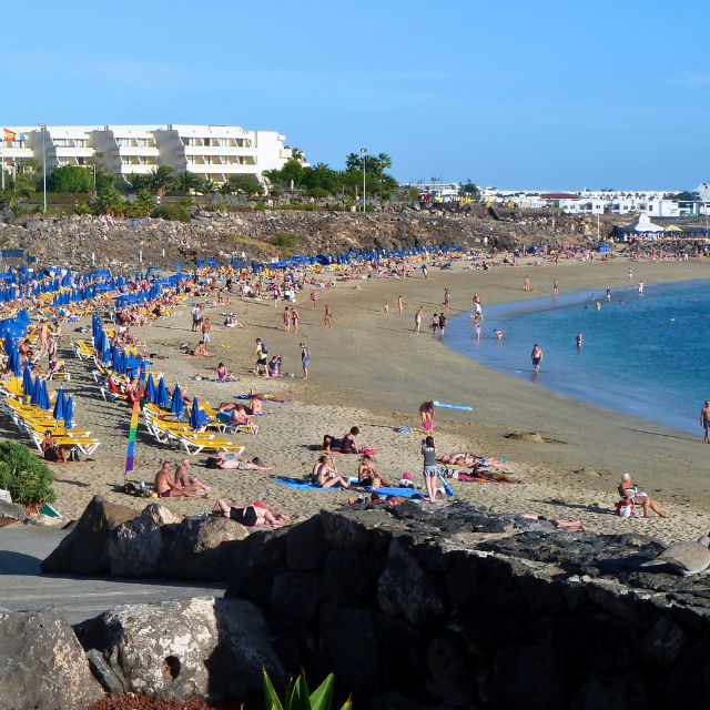 Überblick über die Playa Dorada mit vielen Sonnenliegen und Resorts im Hintergrund