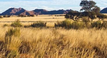 Bild von Afrika Urlaub im Winter Bild von Afrika Urlaub im Winter