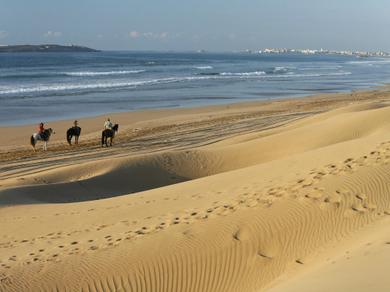 Strand