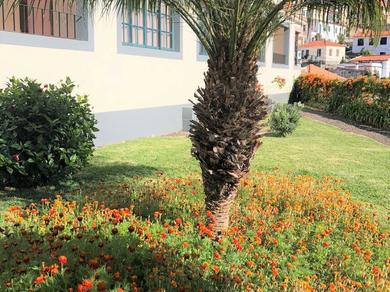 Gartenanlage