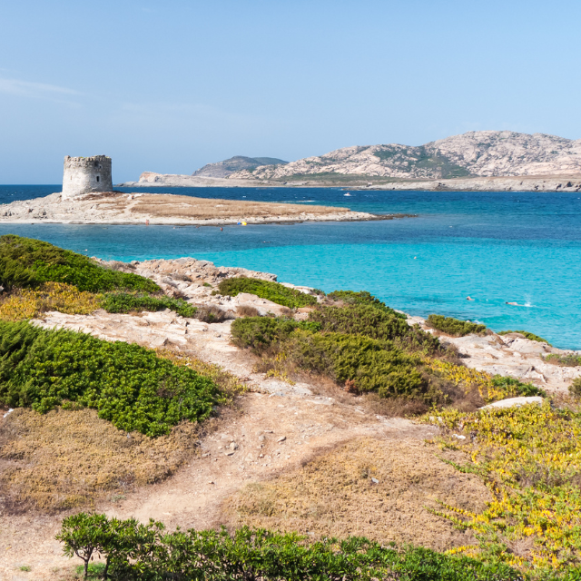 Strand und Schieferfelsen von La Pelosa mit alter Wachturmruine im Hintergrund auf einer kleinen Insel