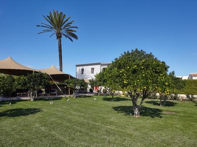 Gartenanlage