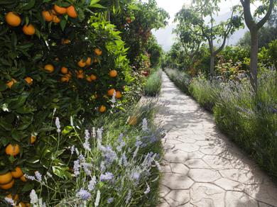 Gartenanlage