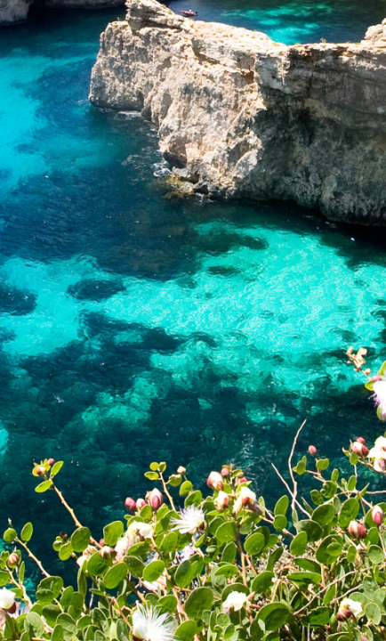 Blick von einer Klippe auf die Blue Lagoon