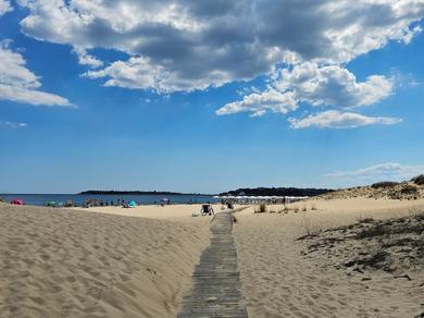 Strand