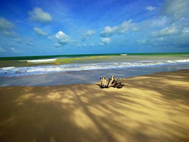 Strand