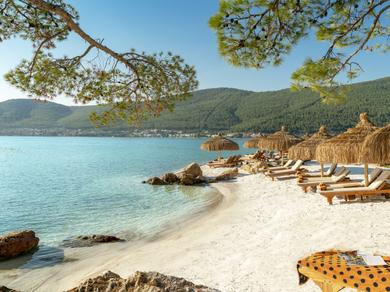Strand