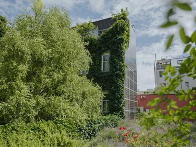 Außenaufnahme