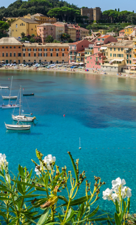 Italienische Hafenbucht mit vielen kleinen Booten im Wasser