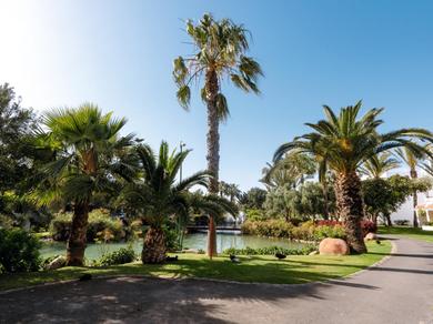 Gartenanlage