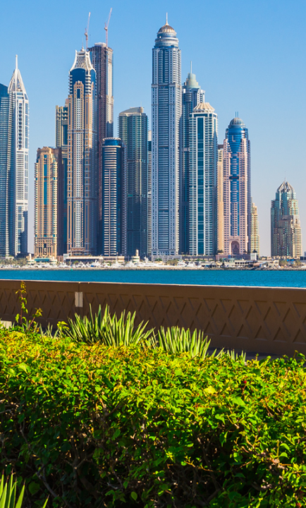 Dubai Skyline