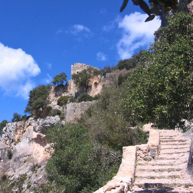 Blick vom Treppenaufstieg auf die Ruine