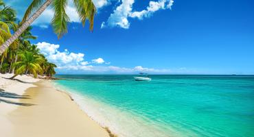 Bild von Dom. Republik Urlaub in den Weihnachtsferien