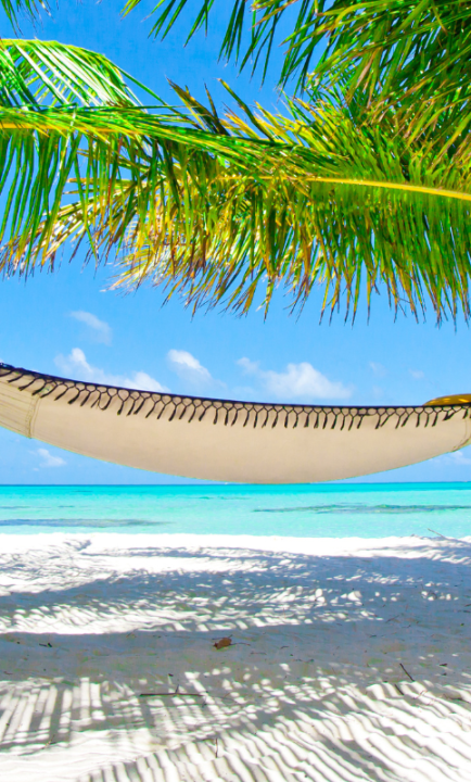 Hängematte zwischen Palmen an Karibik Strand