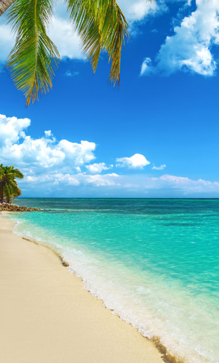 Strand in der Dominikanischen Republik