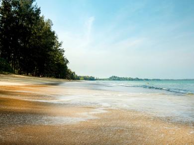 Strand