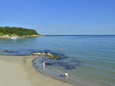 Strand