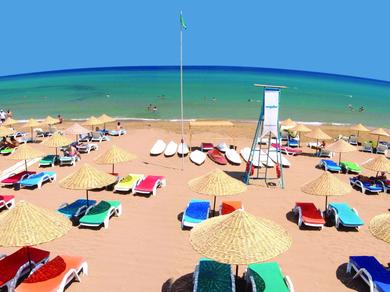 Strand