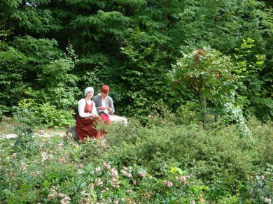 Gartenanlage