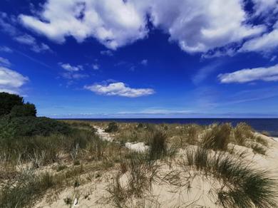 Strand