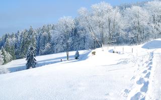 Bild von Bayerischer Wald Urlaub in den Weihnachtsferien Bild von Bayerischer Wald Urlaub in den Weihnachtsferien