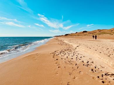 Strand
