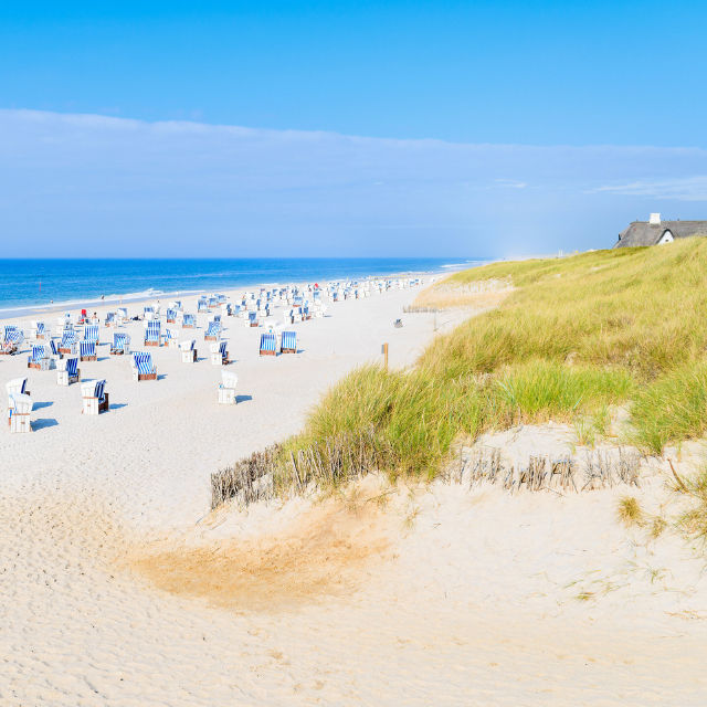 Heller Strand hinter Dünen mit einigen Strandkörben