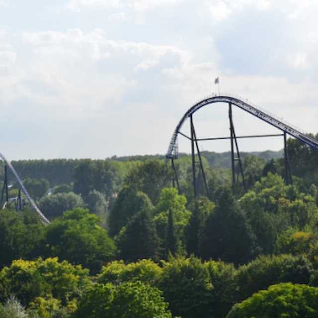 Achterbahn über einem Wald